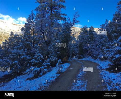 Road In The Jemez Mountains New Mexico Us Stock Photo Alamy