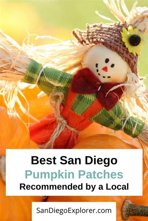 Discover the magic of the internet at imgur, a community powered entertainment destination. Best San Diego Pumpkin Patches You Must Visit This Fall