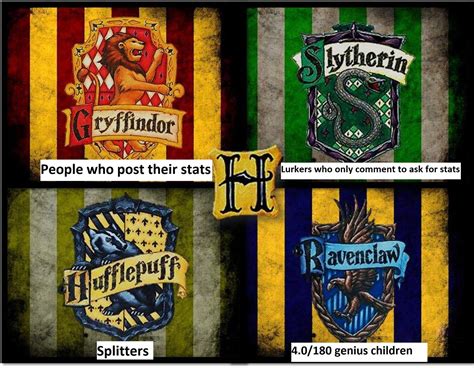 This Sub Sorted Into Hogwarts Houses Rlawschooladmissions