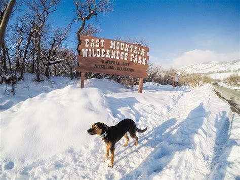 East Mountain Wilderness Park Trail Review Park Trails Dog Friendly