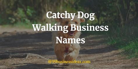 500 Catchy Dog Walking Business Names And Name Ideas