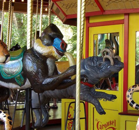Choose from the top vendors in the columbia, sc area and book today. National Carousel Association - Riverbanks Zoo Columbia SC ...