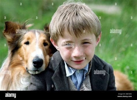 Lassie Dog Movie Hi Res Stock Photography And Images Alamy