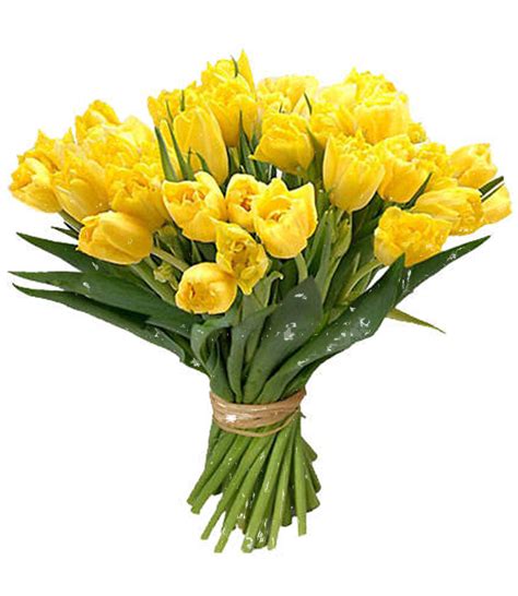 Visualizza altre idee su fiori, png, giardino di tulipani. Bouquet of flowers PNG images free download