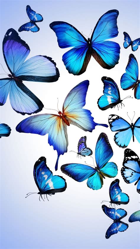 Butterflies Iphone Wallpapers 4k Hd Butterflies Iphone Backgrounds