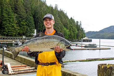 New 2021 Alaska King Salmon Fishing Limits Waterfall Resort Alaska