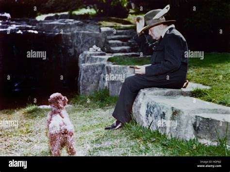 Dog Of Winston Churchill Stockfotos Und Bilder Kaufen Alamy
