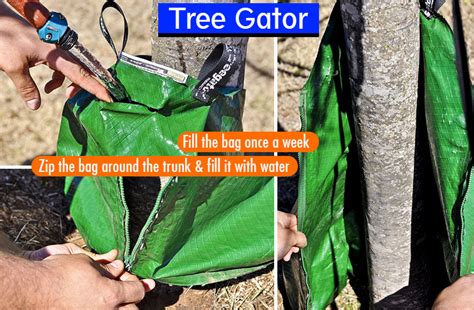 Reviews Best Tree Watering Bags — Tree Gator