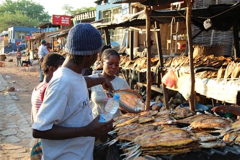 Free Images Town City Dish Food Vendor Africa Market Cuisine