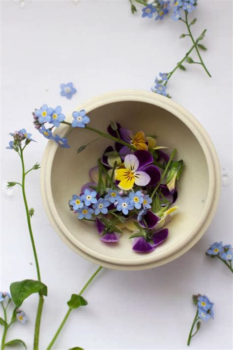 Maybe you would like to learn more about one of these? 15 Crafts Made with Dried Flowers
