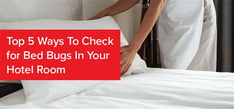 5 Ways To Check For Bed Bugs In A Hotel Room
