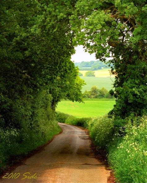 Welcome To Kent County Country Roads Landscape English Countryside