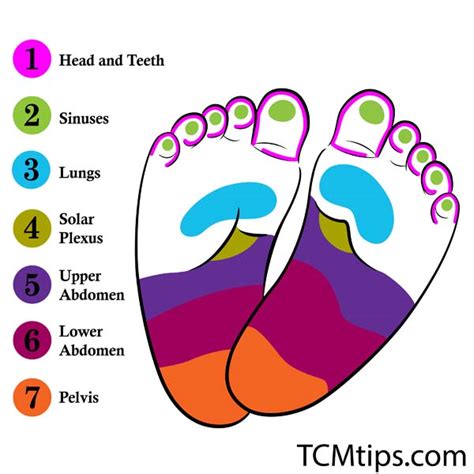 Learn Babys Reflexology For Sleep To Save Parent Lots Of Time Tcm Tips