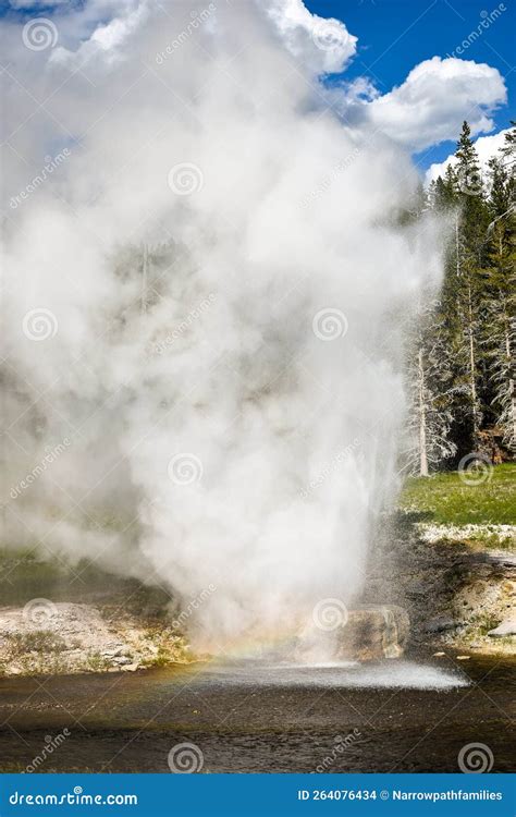 Riverside Geyser Erupting At Yellowstone National Park Stock Photo