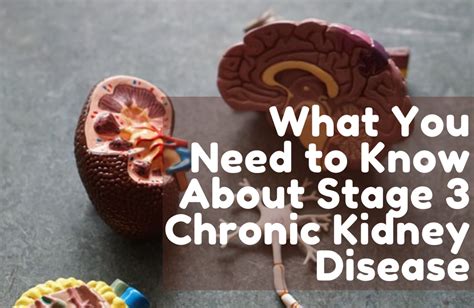 What You Need To Know About Stage 3 Chronic Kidney Disease Bridge