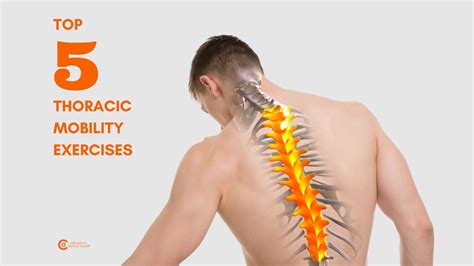 Thoracic Spine Top 5 Mobility Exercises Youtube