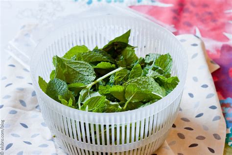 Mint And Basil Pesto The Whinery By Elsa Brobbey