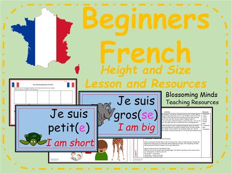 French Lesson And Resources Height And Size Teaching Resources