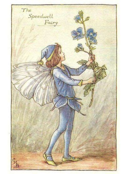 The Speedwell Fairy Flower Fairies Of The Spring By Cicely Mary Barker
