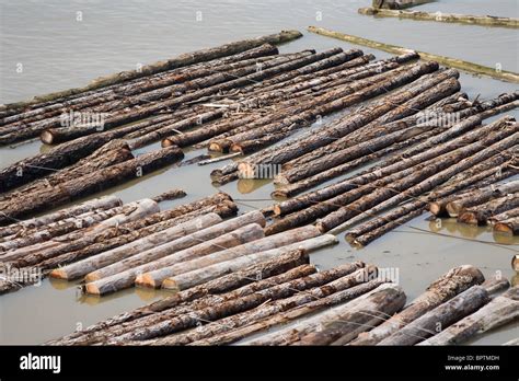 Log Floating Hi Res Stock Photography And Images Alamy