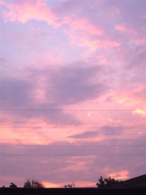 Pinterest ｡niabechill ｡ Sky Aesthetic Pink