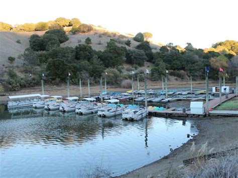 Lake Chabot Offers Big Bass And Trout In East Bay Foothills