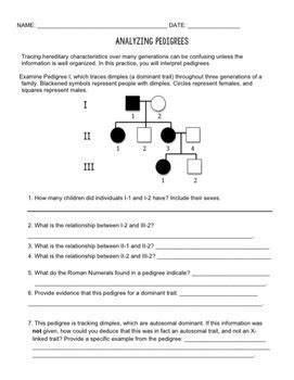 Worksheets are pedigree work with answer key, human pedigree genetics work answer key, pedigree work answers key pdf, pedigree charts work, name class pedigree work, pedigree chart practice. Pedigree Practice by Biology Roots | Teachers Pay Teachers