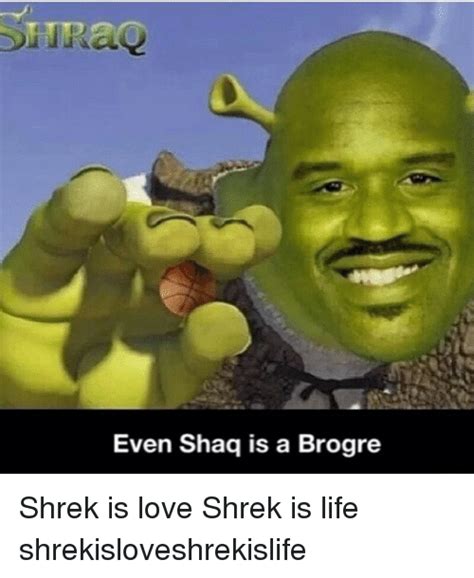Pin By Derpy Burger On Shrek Memes Princess Fiona Shrek Funny Fiona