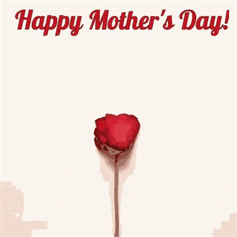 List 92 Images Happy Mother S Day To All Mothers Images Superb