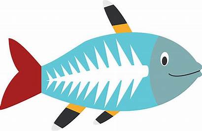 Fish Cartoon Xray Ray Vector Clip Illustration