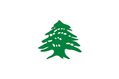Image Result For Lebanese Cedar Tree Tattoo Tree Tattoo Arm Tree