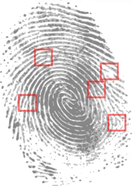 Importance Of Biometric Fingerprinting Technology