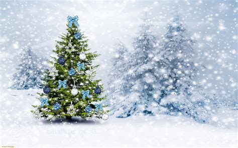 Christmas Tree Winter Snow Wallpapers Hd Desktop And Mobile Backgrounds