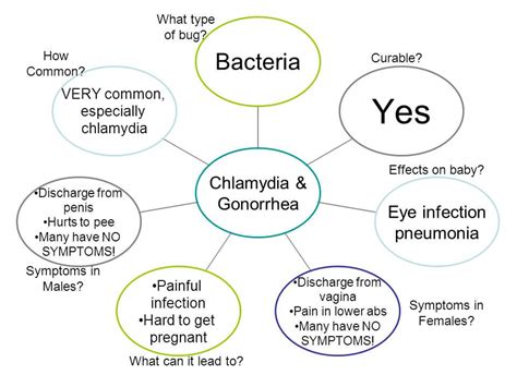 Chlamydia Symptoms In Women And Men And Its Treatment Scoopify