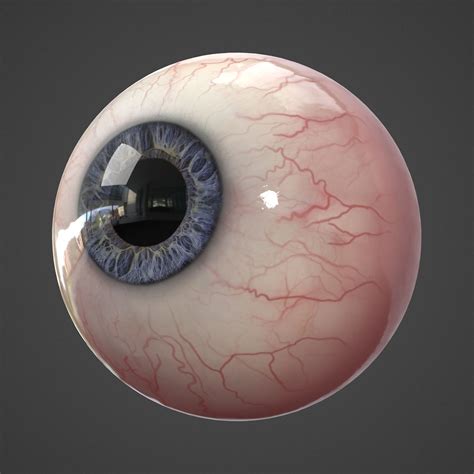 Realistic Human Eye 3d Model 79 Fbx Obj Max Free3d