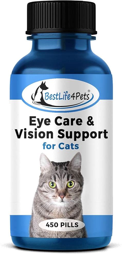 Eye Care And Vision Support For Cats Holistic Kitten Eye
