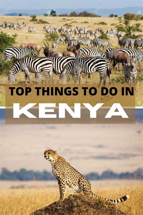 Top 10 Things To Do In Kenya X Days In Y