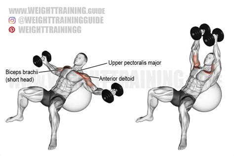 Incline Reverse Grip Dumbbell Bench Press Exercise Instructions And Video