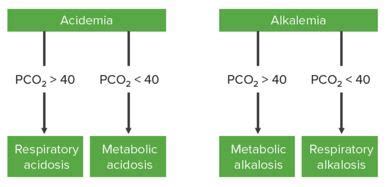 How To Interpret An Arterial Blood Gas Analysis Lecturio