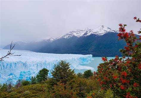 Perito Moreno Glacier Patagonia Argentina Oc 3799 X 2639 R