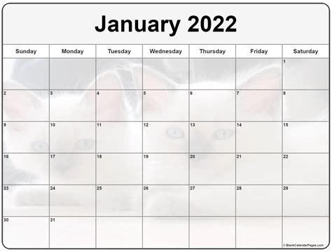 Collection Of January 2022 Photo Calendars With Image Filters