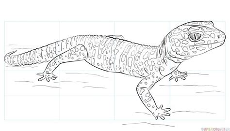 We have collected 38+ leopard gecko coloring page images of various designs for you to color. Pin on Else Depaula