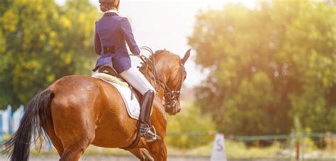 A Viewers Guide To The Olympic Equestrian Disciplines