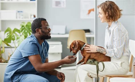 5 Tips For Improving Communication In Your Veterinary Practice Vet Radar