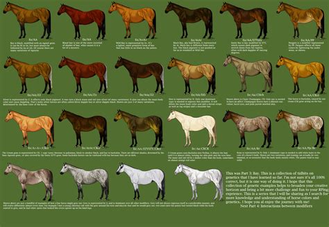 Part 3 Bay By Magicwindsstables On Deviantart Horse Color Chart