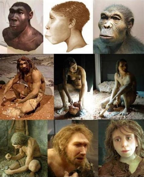 7 2 Million Year Old Pre Human Fossil Suggests Mankind Arose In Europe Not Africa Ancient Origins