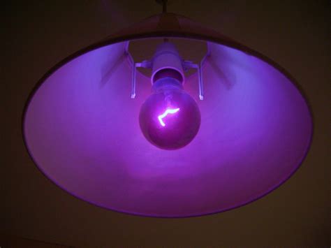 Científicos Recomiendan El Uso De Luz Ultravioleta Para Prevenir La
