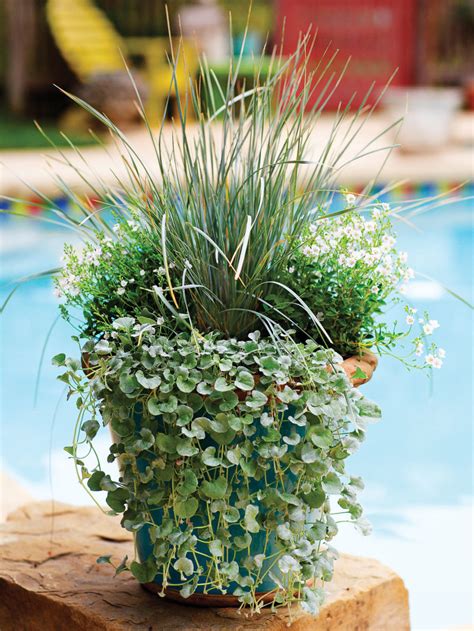 A Container Garden Is The Ultimate Accessory For Your