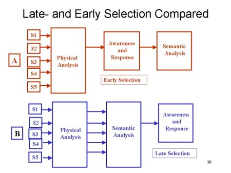 In broadbent's filter model, the stages of information processing occur in which order? Automaticity