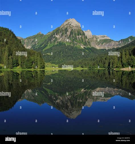 Alpine Mountain Lake Obersee In Summer Hi Res Stock Photography And